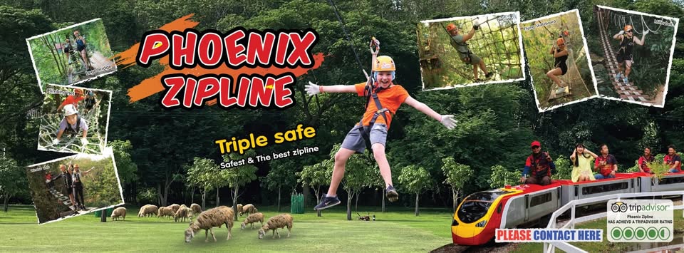 Phoenix Adventure